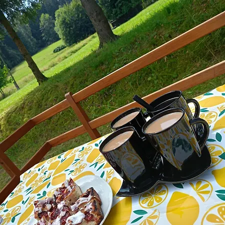 Bastion Duszniki-zdroj Apartment *