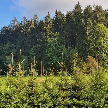 Bastion Duszniki-zdroj Апартаменты