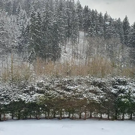 Bastion Duszniki-zdroj Апартаменты *