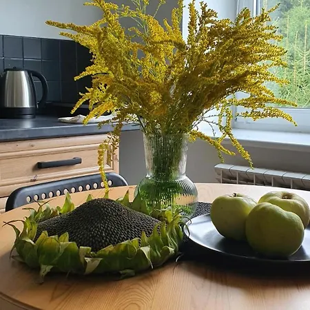 Bastion Duszniki-zdroj Apartment Duszniki Zdroj