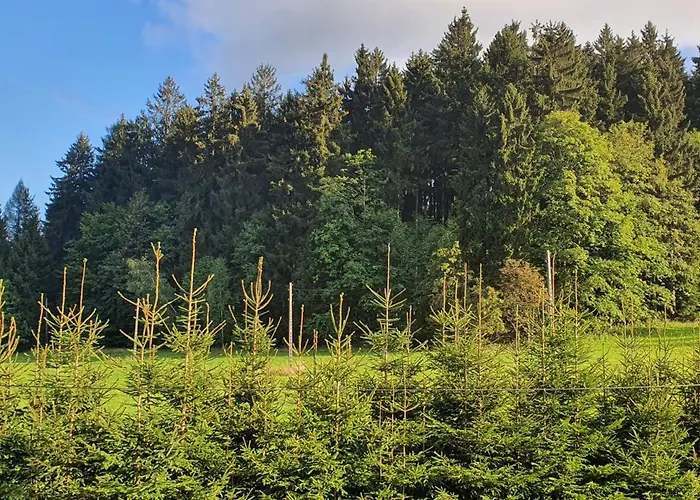 Bastion Duszniki-zdroj Appartamento