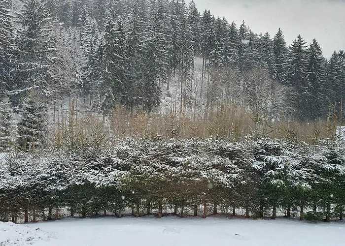 Bastion Duszniki-zdroj Appartamento *